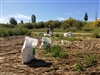 Let’s Clean Up. Netegem de residus el riu Llobregat